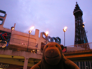 Mr Monkey looking at Blazing Boulevards by Arcadia Spectacular
