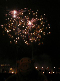 Mr Monkey watching the fireworks