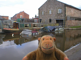 Mr Monkey looking at the old warehouse and some sunken boats