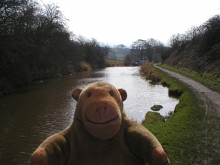 Mr Monkey walking along the Macclesfield Canal