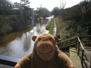 Mr Monkey looking down on the canal from Bridge 9