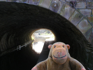 Mr Monkey walking under the bridge at High Lane