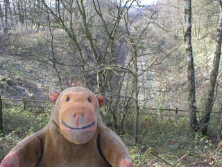 Mr Monkey looking down on the Manchester to Buxton railway line