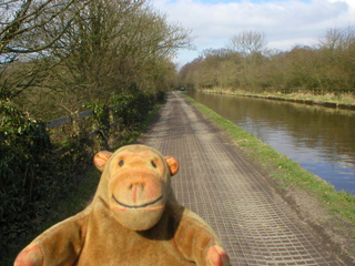 Mr Monkey on the car-friendly stretch of towpath
