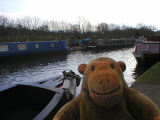 Mr Monkey looking at narrowboats moored on the Macclesfield Canal