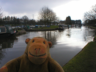 Mr Monkey looking at boats moored at the Lyme View Marina