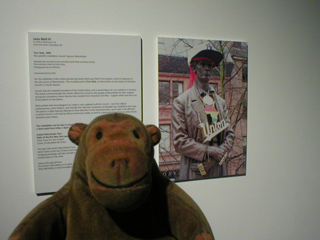 Mr Monkey looking at a picture of True Yank