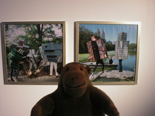 Mr Monkey looking at colour pictures of the Bruce High Quality Foundation in Central Park
