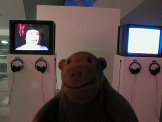 Mr Monkey looking at videos by Tamy Ben-Tor