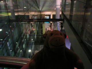 Mr Monkey in the glass elevator at Urbis