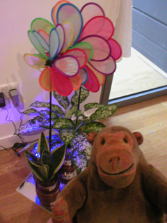 Mr Monkey looking at a cheerful collection of large artificial flowers