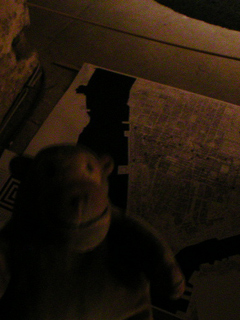 Mr Monkey looking at the New York street corners artwork