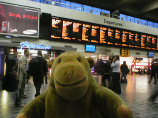 Mr Monkey checking the departures board at Euston