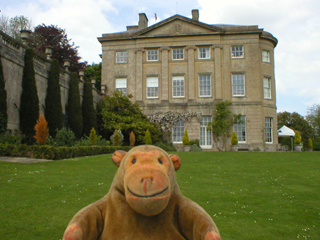Mr Monkey looking at the Museum from the side