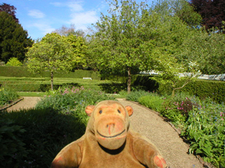 Mr Monkey looking at George Washington's garden