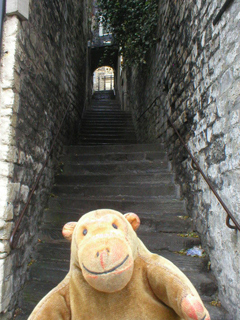 Mr Monkey looking up the steep steps between Walcott St and the Paragon