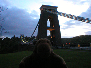 Mr Monkey waiting for the tour to start