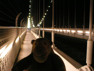 Mr Monkey trotting back across the suspension bridge