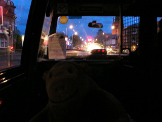 Mr Monkey in a taxi on the way home from Stockport Station