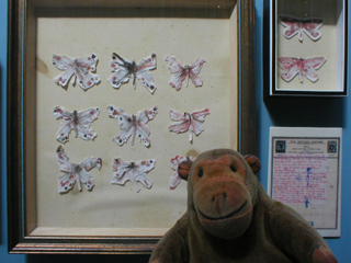 Mr Monkey looking at cases of ceramic butterflies