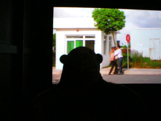 Mr Monkey watching the video My Beautiful Zhang Jiang