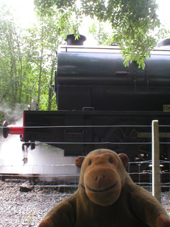 Mr Monkey watching the locomotive realeasing steam