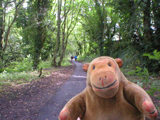 Mr monkey walking along the riverside path to Matlock