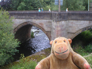 Mr Monkey looking at the bridge at Matlock