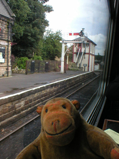 Mr Monkey looking at Darley Dale station from the last train of the day