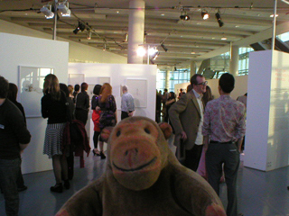 Mr Monkey watching people looking around the gallery