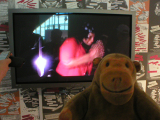 Mr Monkey watching a video of a Club Brenda evening