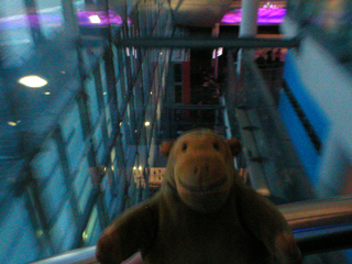 Mr Monkey travelling down in the glass elevator