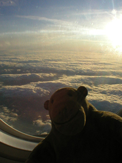 Mr Monkey looking at clouds from his plane