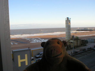 Mr Monkey looking out to sea from his hotel window