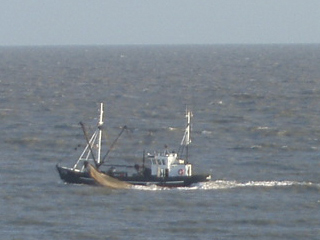 A boat fishing off the Flanders coast