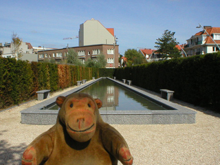 Mr Monkey looking at a long narrow pool