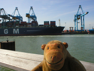 Mr Monkey looking at container ships at Zeebrugge