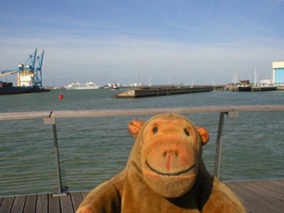Mr Monkey looking at the port of Zeebrugge