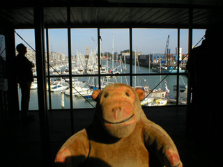Mr Monkey looking around Orbino