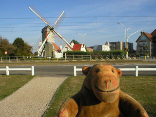 Mr Monkey looking at the windmill opposite the Molen tramstop