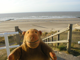 Mr Monkey looking at the sea from the Spioenkop