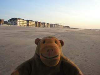 Mr Monkey arriving at De Haan by beach