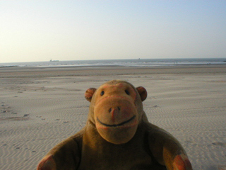 Mr Monkey looking out to sea at Nieuwpoort