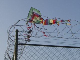 A child's kite snagged on a roll of razor wire