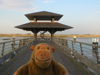 Mr Monkey looking at the pavilion on the Ijzer