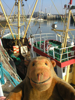 Mr Monkey watching crates of fish being winched off a trawler