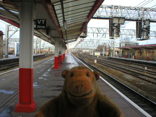 Mr Monkey looking along the platform at Crewe
