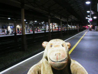 Mr Monkey waiting for his connection at Crewe station