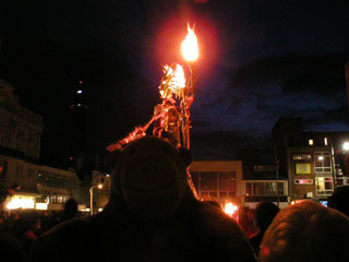 Mr Monkey watching the Fire Queen processing around her court