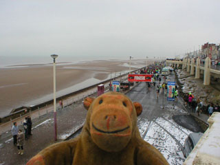 Mr Monkey looking down at the start of the Great North West Run